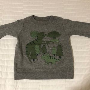 Boys 12Mo grey Dino crewneck